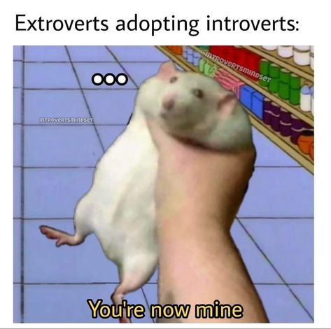 Extrovert Memes Funny, Shy Vs Introvert, Introvert Vs Extrovert Funny, Introvert Extrovert Friendship, Extrovert Problems, Introvert Vs Extrovert, Couple Stuff, Introvert Humor, Extroverted Introvert