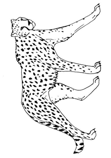 Cheetah Outline Tattoo, Simple Cheetah Drawing, Cheetah Line Art, Cheetah Line Drawing, Cheetah Running Tattoo, Cheetah Colouring Page, Cheetah Laying Down Drawing, Ninja Turtle Coloring Pages, Minnie Mouse Coloring Pages