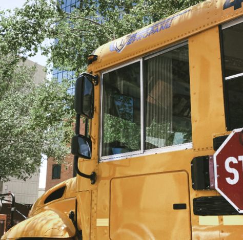 Elementary Teacher Aesthetic, Elementary Tv, The Napping House, Miss Honey, Teacher Aesthetic, Yellow School Bus, Trade School, Magic School Bus, Fear Of The Unknown