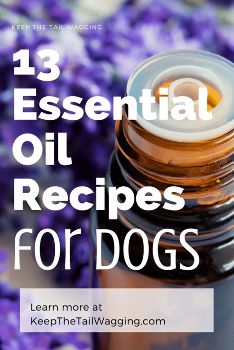 Essential Oil Spray For Dogs, Calming Spray For Dogs, Essential Oil Recipes Safe For Dogs, Essential Oils That Are Safe For Dogs, Calming Essential Oil Blend For Dogs, Diy Dog Cologne Recipes, Calming Essential Oils For Dogs, Essential Oil Dog Deodorizer, Dog Friendly Essential Oils