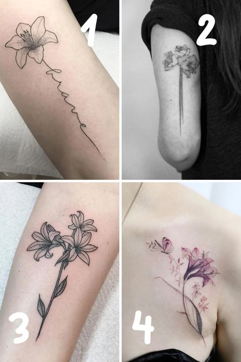 67 Stunning Amaryllis Tattoo Designs & Meanings - TattooGlee Amaryllis Flower Tattoo, Flower Meaning Tattoo, Amaryllis Tattoo, Flower Tattoo Meaning, Vintage Flower Tattoo, Amaryllis Flower, Bright Tattoos, Flower Tattoo Meanings, Palm Tattoos