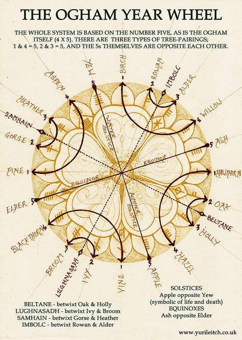 Celtic wheel Year Wheel, Celtic Paganism, Ogham Alphabet, Celtic Druids, Nature Magic, Celtic Astrology, Wiccan Spell Book, Medicine Wheel, Celtic Tree