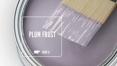 PLUM FROST 660F-4 | Behr Paint Colors Behr Purple Grey Paint Colors, Best Pale Purple Paint Colors, Grey Purple Paint Bedroom, Lavender Grey Bathroom, Behr Paint Colors For Girl Nursery, Purple Nursery Paint Colors, Behr Purple Paint Colors, Gray And Purple Aesthetic, Dusty Purple Paint