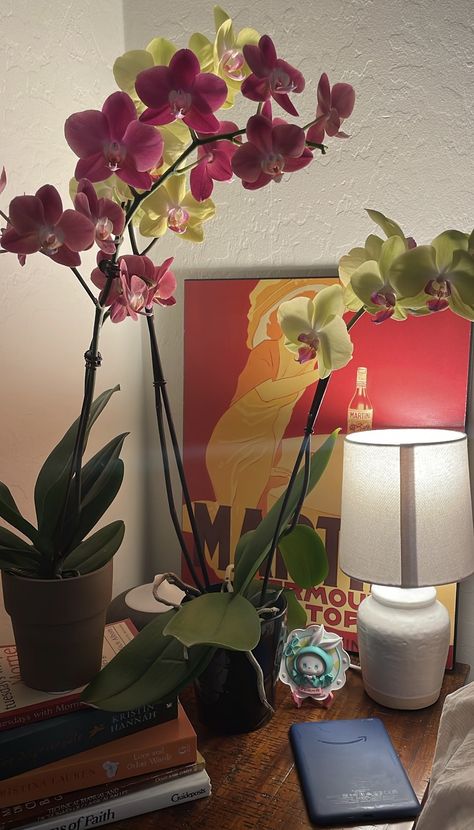 bedroom inspo|nightstand inspo|room inspo|orchids|blooming orchids Orchids In Bedroom, Orchid Bedroom, Orchid Aesthetic, Orchid Interior Design, Orchid Room, Orchid Interior, Jordan Year, Body Tea, Blooming Orchid