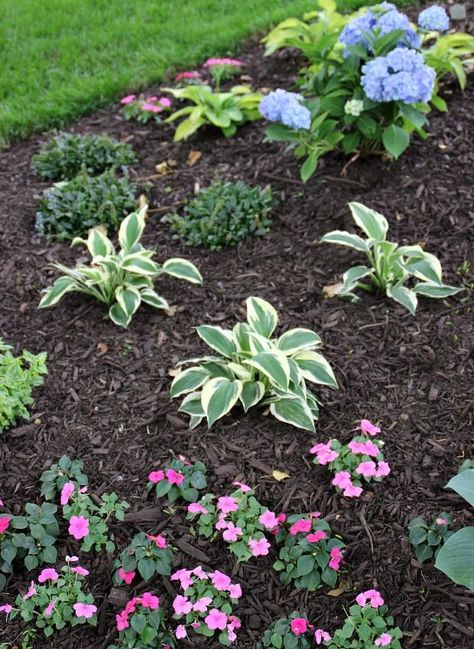 How To Choose And Apply Mulch to Your Flower Beds Areas Verdes, Garden Shrubs, Outdoor Garden Furniture, Lawn And Garden, Mulch, Dream Garden, Elle Decor, Landscaping Ideas, Yard Landscaping