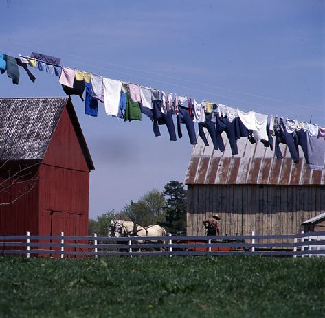 John Stuart Mill, Amish Culture, Amish Farm, Amish Community, Clothes Hanging, Country Scenes, Farms Living, Down On The Farm, Amish Country