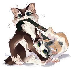 Pet Anime, Mary Virgin, Cats Art Drawing, Warrior Cats Fan Art, Warrior Cat Drawings, Warrior Cat Oc, Cat Oc, Warrior Cats Art, Cat Pose