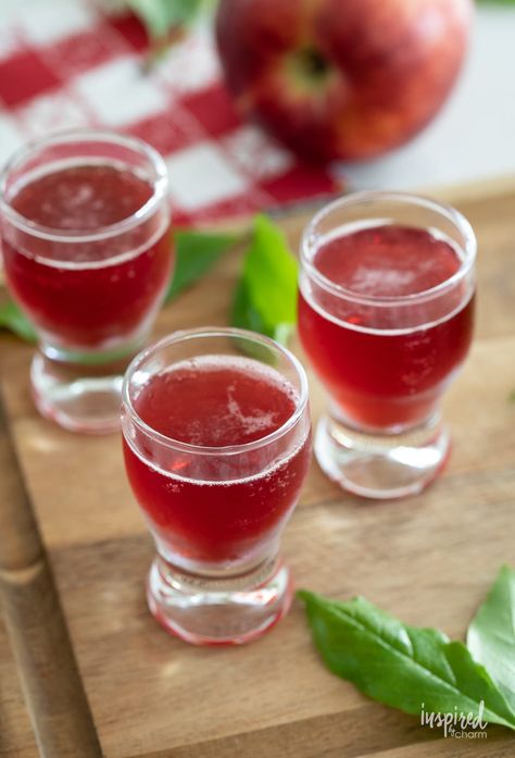 How to Make a Washington Apple Shot #recipe #shot #whiskey #apple #liquor #easy #appleshot #washingtonapple #cranberryjuice #applepucker Washington Apple Shot, Apple Liquor, Ice Cream Float Recipes, Apple Shots, Sour Apple Pucker, Canadian Whiskey, Holiday Punch Recipe, Unique Cocktail Recipes, Apple Pucker