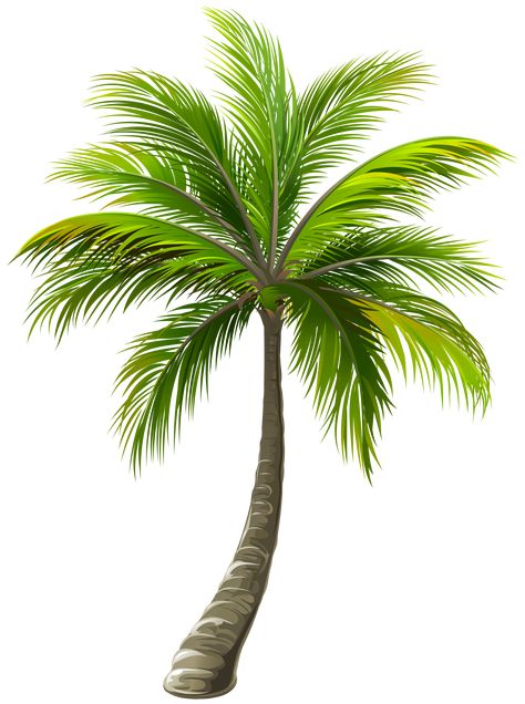 Palm Tree Clip Art, Tropical Classroom, Palm Tree Png, Palm Tree Drawing, Palm Tree Pictures, Ocean Art Painting, Paradise Pictures, Digital Graphics Art, Gold Design Background