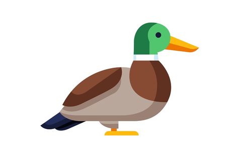 Illustration of stylized duck. Image of wild bird in simple style. Vector icon. Duck Illustration Design, Duck Vector, Graphic Animals, Duck Graphic, Duck Illustration, Mallard Ducks, Bird Illustrations, Rooms Ideas, Illustration Ideas