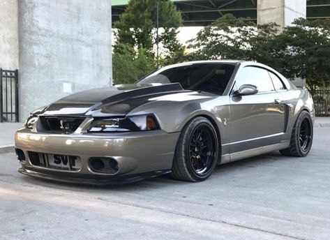 SVT Cobra 🐍 Newedge Mustang, Mustang Cobra Terminator, 2001 Mustang, Cobra Mustang, Mustang Tuning, Sn95 Mustang, New Edge Mustang, 2002 Ford Mustang, Ford Svt