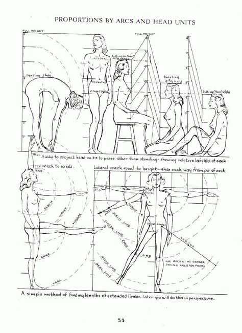 Andrew Loomis - Figure Drawing for All Its Worth How To Draw People, Male Figure Drawing, Draw People, Human Anatomy Drawing, Human Figure Drawing, Anatomy Sketches, Drawing Exercises, Anatomy For Artists, Drawing Studies