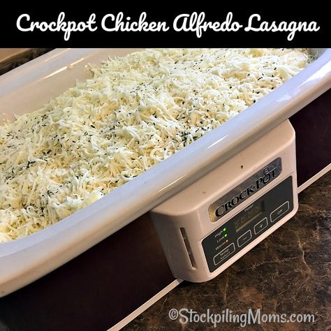 Casserole Crock Recipes, Lasagna Crockpot, Lasagna Alfredo, Honey Chicken Crockpot, Crockpot Lasagne, Slow Cooker Lasagne, Crockpot Casseroles, Lasagna Recipe Slow Cooker, Casserole Crockpot Recipes