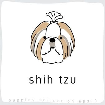 Black Shih Tzu, Perro Shih Tzu, Shitzu Puppies, Puppy Sitting, Dog With Glasses, Dog Pop Art, Puppy Day, Pet Clinic, Hand Drawn Vector Illustrations