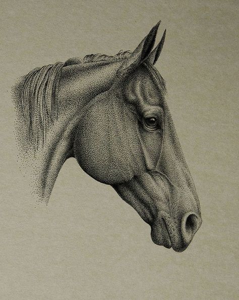 Horse_ink_Sergey Pogonin Stipling Drawings, Dot Art Drawing, Pointilism Art, Pointalism Art, Dot Drawing, Pointillism Tattoo, Stippling Drawing, Dotted Drawings, Tattoo Dotwork