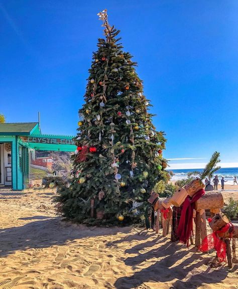 Christmas Tree on the Beach in California Cali Christmas, Christmas In California, Christmas California, Christmas Australia, Beach In California, California Christmas, Wallpaper Natal, Christmas In Australia, Beachy Christmas