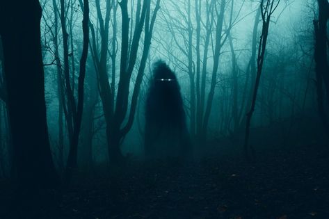 50 of the Spookiest Urban Legends from Every State Nightmare Realm, Scary Urban Legends, Nightmare Disorder, Urban Myth, Username Ideas, Legends And Myths, Film Disney, Spooky Scary, Urban Legends