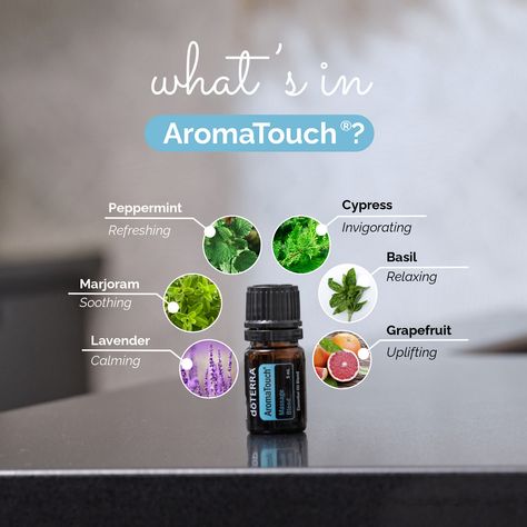 With this lineup of oils in one blend, you know it’ll be a success! Each of these oils are unique but has similar benefits. This beautiful blend is perfect for massaging, specifically with the AromaTouch Technique®. Doterra Aromatouch, Aromatouch Technique, Essential Oils Video, Relaxing Essential Oils, Essential Oil Education, Doterra Essential Oils Recipes, What Are Essential Oils, Doterra Wellness Advocate, Essential Oil Blends Recipes