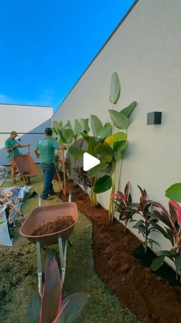 Grameira Esmeralda Cianorte on Instagram: "Impossível não se apaixonar por esse jardim, composição maravilhosa de plantas. Usamos Maranta Charuto, Dracena Cordyline, Helicônia Papagaio, Guaimbês e o resultado ficou incrível! 🤌🤩🍃  Solicite seu orçamento no Whatsapp da Bio.  #jardim #plants #paisagismo #arquiteturadeinteriores #jardim #plantas #paisagismoejardinagem" Dracena Plant, Plants Around Pool, Plantas Exterior, Heliconia Plant, Modern Backyard Landscaping, Outdoor Fireplace, Pool, Exterior, Hotel