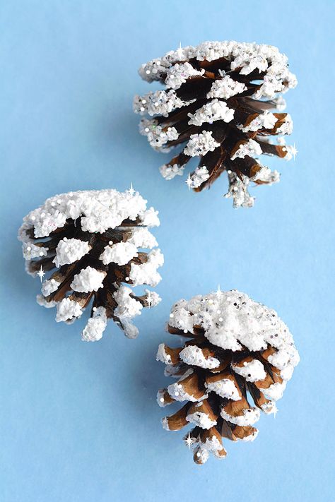 Frosted Pinecones, Pinecone Owls, Snowy Pinecone, Pinecone Crafts Christmas, Sparkling Snow, Pinecone Crafts, Diy Pinecone, Winter Craft, Paper Bowls