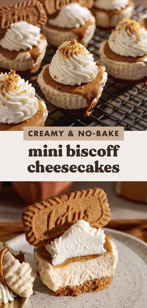 These no-bake mini biscoff cheesecakes are super creamy with a crunchy biscoff crust and airy whipped cream on top. They're easy to make and the perfect summer treat. #biscoff #cheesecake #nobakedessert | teakandthyme.com Mini Biscoff Cheesecake, Biscoff Crust, Biscoff Cheesecake, Thyme Recipes, Cheesecake Toppings, Biscoff Spread, Cheesecake Mini, Crunchy Cookies, Spice Cookies