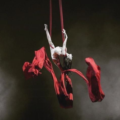 Areal Dance, The Bone Season, Aerial Gymnastics, Silk Dancing, Gesture Drawing Poses, Circus Aesthetic, Season Aesthetic, The Illusionist, Dark Circus