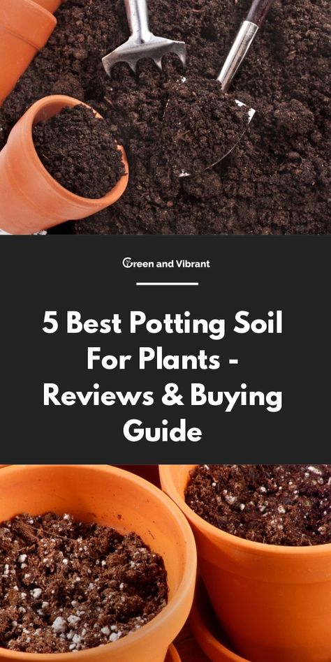 Best Potting Soil For Indoor Plants, Best Potting Soil For Snake Plant, Best Soil For Indoor Plants, Soil For Indoor Plants, Soil For Plants, Gardening 2023, Amazing Garden Ideas, Navidad Aesthetic, Save Soil