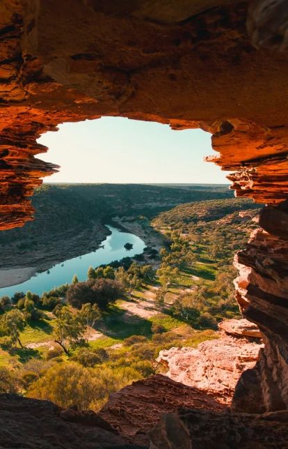 Australia's native plants - Tourism Australia Savanna Grassland, Kalbarri National Park, Travel To Australia, Australia Tourism, Eucalyptus Trees, Kangaroo Island, Time To Travel, Country Lifestyle, Visit Australia