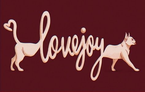 Lovejoy Laptop Background, Are You Alright Lovejoy Fanart, Lovejoy Widgets, Lovejoy Art, Lovejoy Wallpaper, Dsmp Wallpaper, Minecraft Images, Silly Bands, Widget Design