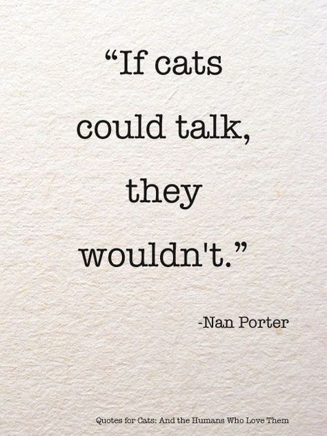 "If cats could talk, they wouldn't." - Nan Porter Kat Diy, Fina Ord, Cat Quotes, Unwanted Hair, Animal Quotes, A Quote, Crazy Cat Lady, Crazy Cats, Cat Lady