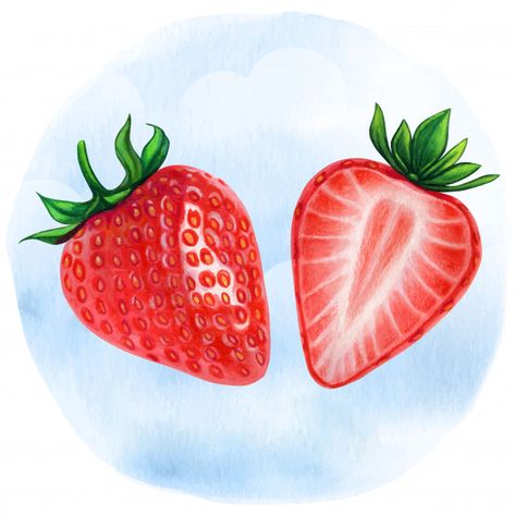 Watercolor realistic half strawberries i... | Premium Vector #Freepik #vector #watercolor #cartoon #fruit #illustration Half Strawberry Drawing, Half Strawberry Tattoo, Strawberry Illustration Drawings, Strawberries Drawing, Strawberries Illustration, Half Strawberry, Watercolor Realistic, Strawberry Illustration, Watermelon Illustration