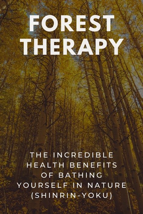 Forest Therapy: Learn everything you need to know about the incredible health benefits of the Japanese practice of forest bathing (Shinrin-Yoku) plus how to do it right. #ForestTherapy #HolisticHealth #ConsciousLifestyleMag Benefits Of Being In Nature, Forest Bathing Benefits, Shirin Yoku, Nature Benefits, Forest Living, Forest Therapy, Japanese Practice, Nature Therapy, Shinrin Yoku