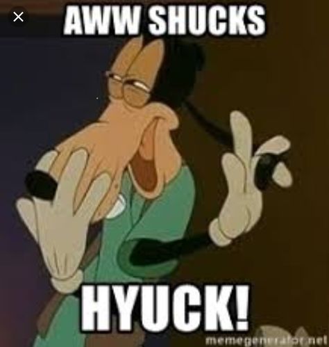 Bashful goofy Sarah Lugor, Goofy Disney, Reaction Pic, Dog Memes, Reaction Pictures, Pluto The Dog, Scooby Doo, Disney Characters, Memes