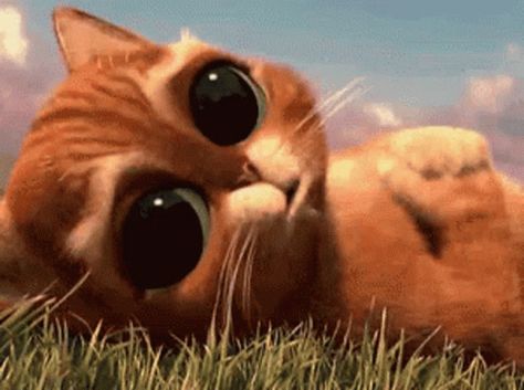 Cute Puss In Boots GIF - Cute PussInBoots Shrek - Discover & Share GIFs Sorry Gif, Cute Miss You, I Miss Your Face, Crying Gif, Miss Your Face, Love You Gif, Miss U, I Miss U, Puppy Eyes