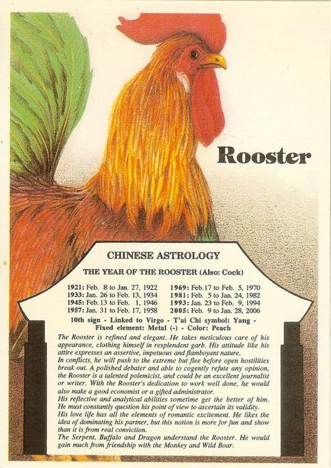 Chinese Astrology - Rooster Chinese Numerology, Astrology Calendar, Year Of The Rooster, Metal Rooster, Chinese Astrology, The Rooster, Chinese Zodiac Signs, Chinese Zodiac, Astrology Zodiac