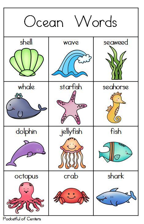 Ocean Animals Vocabulary Cards Ocean Unit Study, Unit Study Homeschool, Ocean Preschool, Preschool Ocean, Ocean Words, Ocean Theme Preschool, Maternelle Grande Section, Writing Center Activities, Ocean Theme Classroom