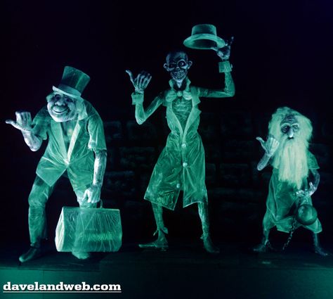 Fiction Characters, Haunted Mansion Halloween, Haunted Mansion Disneyland, Halloween Lawn, Ghost Bride, Hitchhiking Ghosts, Pirate Halloween, Disney Rides, Disney Nerd