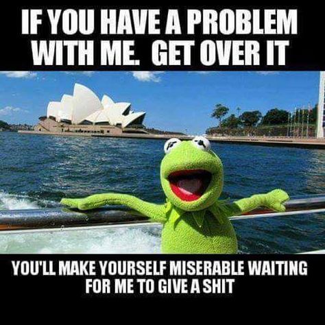 Memes or life, we can never tell. Laugh more. Life is short. Funny Kermit Memes, How To Pixel Art, Mean Humor, Kermit Funny, And So It Begins, Kermit The Frog, Funny Cartoon Quotes, Sarcastic Quotes Funny, Twisted Humor