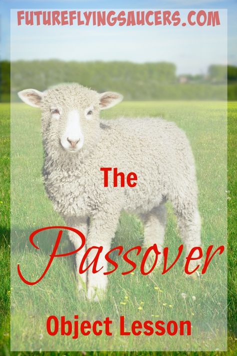 Passover Lesson, Passover Activities, Passover Lamb, Easter Lessons, Sunday School Curriculum, Bible Object Lessons, Childrens Sermons, Bible Crafts For Kids, Sunday School Activities