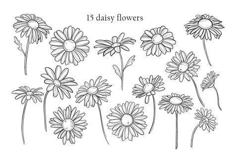 Daisy Flower Drawing, Daisy Clipart, Daisy Drawing, Daisy Svg, Wildflower Svg, Flower Svg Files, Floral Svg, Flower Silhouette, Flowers Svg