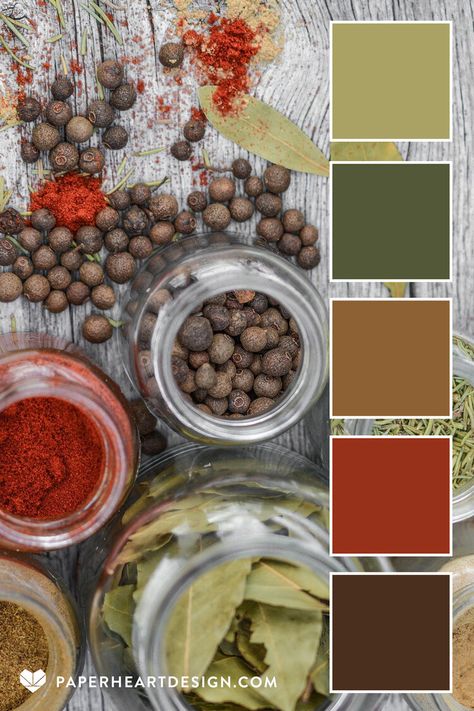 SPICE JARS Stunning view, beautiful colors. HEX CODES: #4a2f1e #97311a #8d6134 #535838 #aaa264 Earth Colour Palette, Indian Colours, Color Schemes Colour Palettes, Spice Cabinet, Spice Jar, Mood And Tone, Earth Color, Toned Paper, Paper Heart