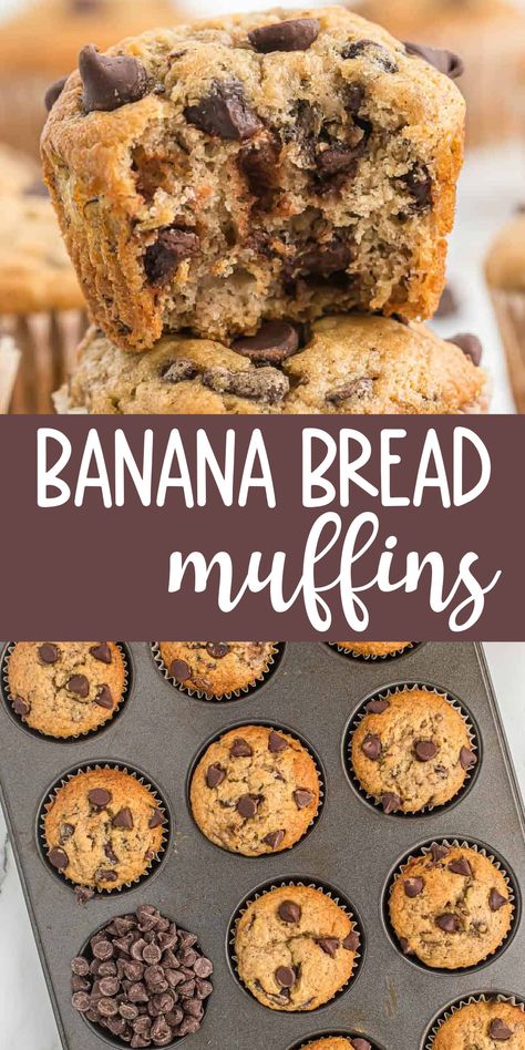 Banana Muffins 2 Bananas Easy, Cho Chip Banana Muffins, Banana Bread Muffins Chocolate Chip, Banana Bread Recipe Muffins, Banana Muffins No Oil, Banana Chocolate Chip Muffins Easy, Banana Bread Chocolate Chip Muffins, Healthy Banana Bread Muffins, Easy Banana Bread Muffins