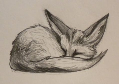 Pointsies: Fennec Fox Doodle Fennec Fox Reference, Fennick Fox Drawing, Fennec Fox Tattoo Design, Fennec Fox Drawing Reference, Fenec Foxes Drawing, Fox Sketch Simple, Desert Fox Drawing, Fox Doodle Simple, Fennec Fox Tattoo