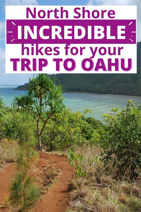 Oahu Hikes, Hawaii Hikes, Oahu Vacation, Oahu Travel, Hawaii Destinations, Hawaii Travel Guide, Visit Hawaii, Waterfall Hikes, Hiking Guide