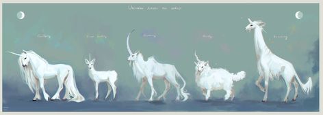 Unicorn Concepts Lineup Last Unicorn, The Last Unicorn, Creature Drawings, Unicorn Art, Horse Drawings, Mythical Creatures Art, Mythological Creatures, Creature Concept Art, Creature Concept