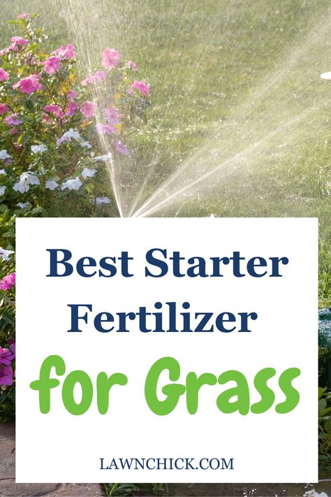 If you're planting grass seed, it's crucial to use the right starter fertilizer. That's why we put together this blog post about the best starter fertilizer for grass. We reveal the perfect NPK ratio for lawn starter fertilizer, so you know what to look for. Plus, we go over everything you need to know about quick-release vs slow-release fertilizer, organic vs synthetic fertilizer, and granular vs liquid fertilizer. Of course, we also reveal our list of the best starter fertilizers this year! Planting Grass Seed, Lawn Food, Planting Grass, Best Starters, Lawn Fertilizer, Diy Lawn, Soil Testing, Liquid Fertilizer, Grass Seed