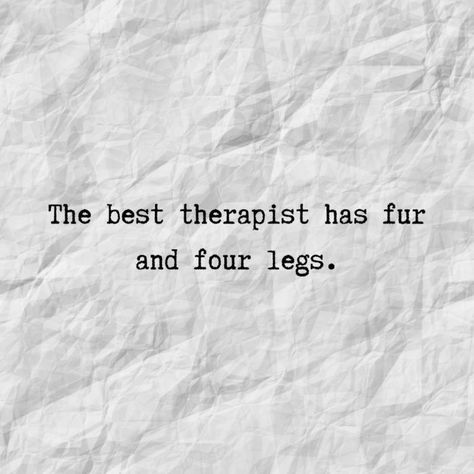 quotes quote quotes tattoo quotes to live by quotes deep quote tattoos quotes inspirational quotes love quotes about life quotes about strength quotes funny quotes about moving on love aesthetic love drawing word quotes art art drawings famouse paintings My Dog Saved Me Quotes, Dogs Sayings, Doggie Quotes, Funny Dog Sayings, Paw Quotes, Love Inspiration Quotes, Dogs Quotes, Flea Remedies, Dog Mom Quotes