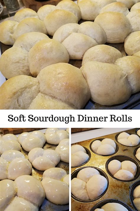 Little Spoon Farm Sourdough, Christmas Dinner Rolls, Rolls Sourdough, Holiday Rolls, Dough Starter Recipe, Sourdough Dinner, Rolls Dinner, Dinner Feast, Sourdough Dinner Rolls