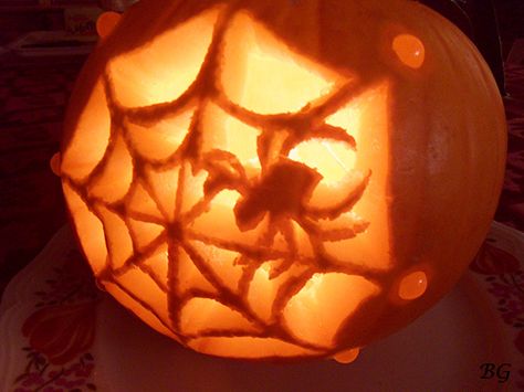 spider pumpkin carvings | Pumpkin carving: Spider Web - Sculpture sur potiron: toile d'araignée ... Pumpkin Carving Spider Web, Spider Web Pumpkin Carving, Pumpkin Carving Ideas Spider Web, Spider Carved Pumpkin, Pumpkin Carving Ideas Spider, Pumpkin Carving Spider, Pumpkin Carving Constellation, Pumpkin Surface Carving, Spider Pumpkin Carving