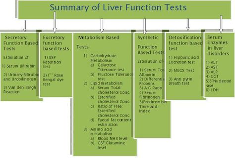 Liver function test Gastrointestinal Nursing, Liver Function Test, Nursing 101, Basic Anatomy And Physiology, Nursing Mnemonics, Family Nurse Practitioner, Pa School, Liver Failure, Liver Function